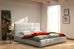 eoshop Manželská posteľ Chester 160 + rošt, lamino, bez matraca, s úložným priestorom