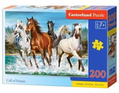 Castorland Puzzle Volanie prirody 200 dielikov