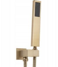 REA Fenix Davis, podomietkový sprchový set + box s dažďovou a ručnou sprchou, zlatá matná, REA-P6358