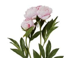 Lene Bjerre Pivonka (Paeonia) ružová s púčikom, 85 cm