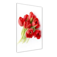 Wallmuralia.sk Vertikálny foto obraz akrylový Červené tulipány 60x120 cm 2 prívesky