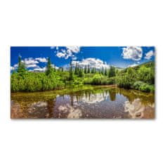 Wallmuralia.sk Foto obraz akryl do obývačky Jezerov lese 140x70 cm 2 prívesky