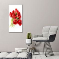 Wallmuralia.sk Vertikálny foto obraz akrylový Červené tulipány 60x120 cm 2 prívesky