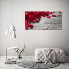 Wallmuralia.sk Foto obraz akryl zvislý do obývačky Červené ruže 100x50 cm 2 prívesky