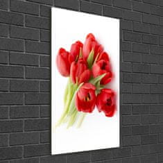 Wallmuralia.sk Vertikálny foto obraz akrylový Červené tulipány 60x120 cm 2 prívesky