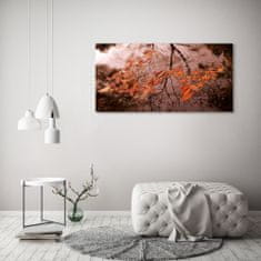 Wallmuralia.sk Foto obraz akryl do obývačky Lístie na vode 125x50 cm 2 prívesky