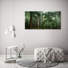 Wallmuralia.sk Foto obraz akryl do obývačky Hmla v lese 140x70 cm 2 prívesky