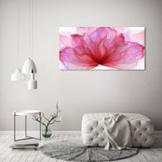 Wallmuralia.sk Foto obraz akryl do obývačky Ružová kvetina 125x50 cm 2 prívesky
