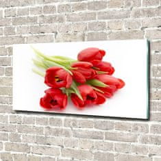 Wallmuralia.sk Foto obraz sklenený horizontálny červené tulipány 140x70 cm 2 prívesky