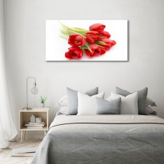 Wallmuralia.sk Foto obraz sklenený horizontálny červené tulipány 140x70 cm 2 prívesky