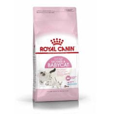 Royal Canin FHN MOTHER & BABYCAT 2kg pre gravidné alebo dojčiace mačky a mačiatka
