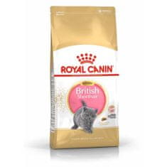 Royal Canin FBN BRITISH SHORT KITTEN 2kg