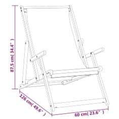 Petromila vidaXL Skladacie plážové kreslo tíkový masív sivé