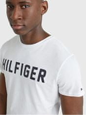 Tommy Hilfiger Pánske tričko Regular Fit UM0UM02011-YBR (Veľkosť L)