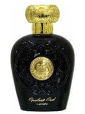 Opulent Oud - EDP 100 ml