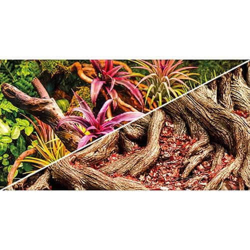 HOBBY aquaristic HOBBY Pozadie obojstranné Jungle / Strangler Fig 60cm x 25m