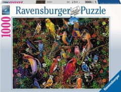 Ravensburger Namaľovaní vtáci