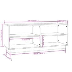 Petromila vidaXL Skrinka na topánky sivá 110x34x45 cm masívna borovica