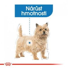 Royal Canin - Canine kaps. Light Weight Care 85 g