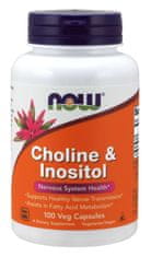 NOW Foods Cholín & Inositol, 500 mg, 100 kapsúl