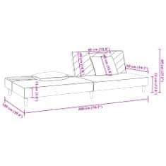 Vidaxl 2-miestna rozkladacia pohovka s 2 vankúšmi, svetlosivá, zamat
