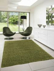 eoshop Kusový koberec Dream Shaggy 4000 green (Variant: 60 x 110 cm)