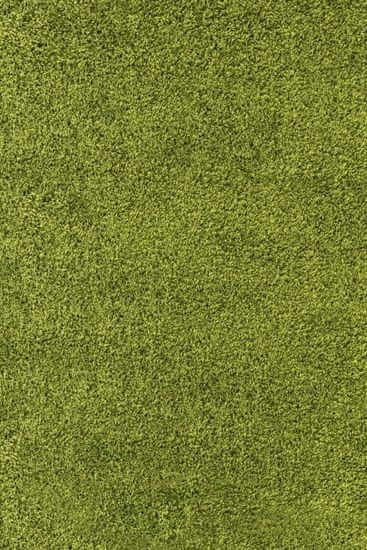 eoshop Kusový koberec Life Shaggy 1500 green (Variant: 300 x 400 cm)