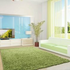 eoshop Kusový koberec Life Shaggy 1500 green (Variant: 300 x 400 cm)