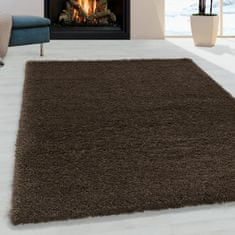 eoshop Kusový koberec Fluffy shaggy 3500 brown (Variant: 160 x 230 cm)