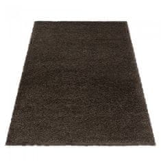 eoshop Kusový koberec Fluffy shaggy 3500 brown (Variant: 160 x 230 cm)