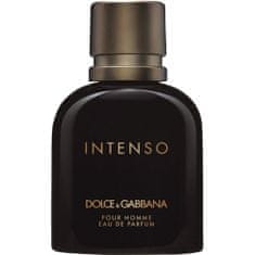 shumee Intenso Pour Homme parfémovaná voda v spreji 125 ml