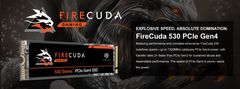 Seagate SSD FireCuda 530 Heatsink M.2 2280 500 GB - PCIe Gen4 x4 NVMe/3D TLC/640TBW