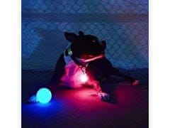 Osvetľovacia guľa pre psov