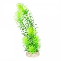 EBI AQUA DELLA Rastlina umelá HORNWORT 24cm zelená 24cm