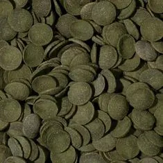 TROPICAL Green Algae Wafers 250ml/113g krmivo vo forme oblátok so spirulinou