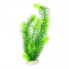 EBI AQUA DELLA Rastlina umelá HORNWORT 32cm zelená 1ks