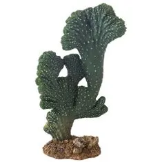 HOBBY Terraristik HOBBY Kaktus Victoria 22cm