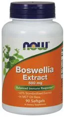 NOW Foods Boswellia Extrakt, 500 mg, 90 softgelových kapsúl