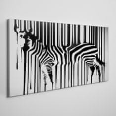 COLORAY.SK Obraz Canvas zebra 100x50 cm