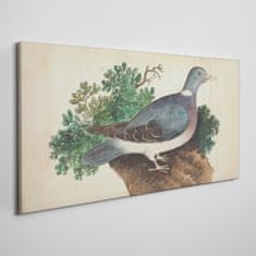 COLORAY.SK Obraz Canvas Vtáky divoké zvieratá 100x50 cm