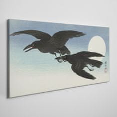 COLORAY.SK Obraz Canvas Zvieracie vták krádeže obloha 140x70 cm