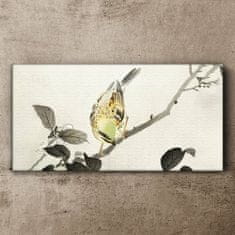 COLORAY.SK Obraz Canvas Vetva živočíšneho vtáka 120x60 cm