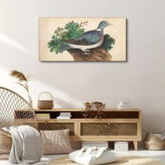 COLORAY.SK Obraz Canvas Vtáky divoké zvieratá 100x50 cm
