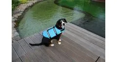 Merco Dog Swimmer plávacia vesta pre psa modrá, XS