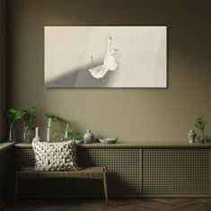 COLORAY.SK Sklenený obraz Husi vtáky 100x50 cm
