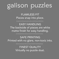 Galison Puzzle Tekvice 1000 dielikov