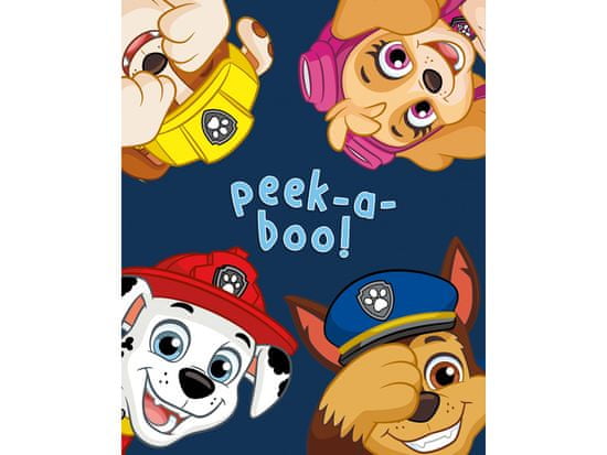 BrandMac Detská deka Paw Patrol II