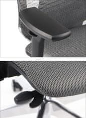 STEMA Ergonomická otočná kancelárska stolička DITTER, nastaviteľné podrúčky, bedrová opierka a hlavová opierka, hliníková základňa, šedá