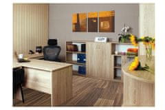 eoshop Skrinka zostavy Office C524 (Prevedenie: Dub bordeaux)