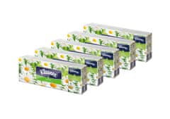 Kleenex hyg.vrec. PACK 5 x Family- Camomile 5 x10